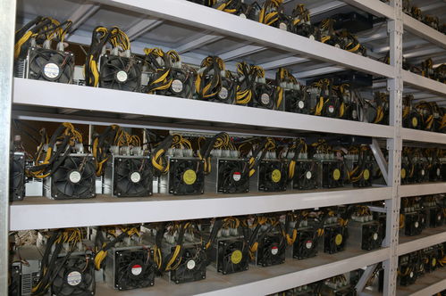 An intricate mining rig setup in a Japanese hosting facility, illustrating optimized hardware for cryptocurrency extraction