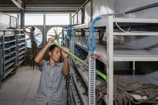 Innovative Mining Rig