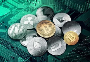 Solar panels powering Bitcoin mining operations in Germany